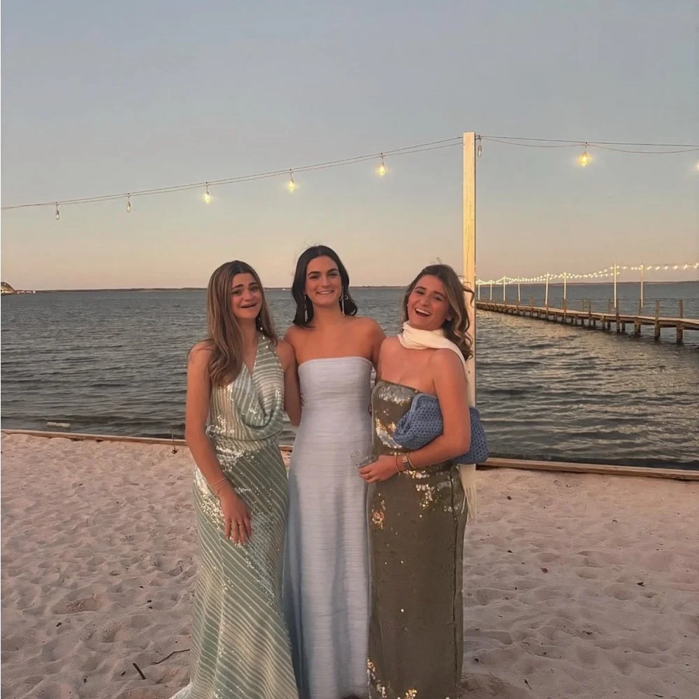 STAUD Shimmering Silver maxi dress - Picture 4 of 9